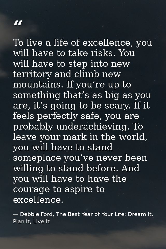To live a life of excellence, you will have to take risks. You will have to step into new territory and climb new mounta — Debbie Ford, The Best Year of Your Life: Dream It, Plan It, Live It