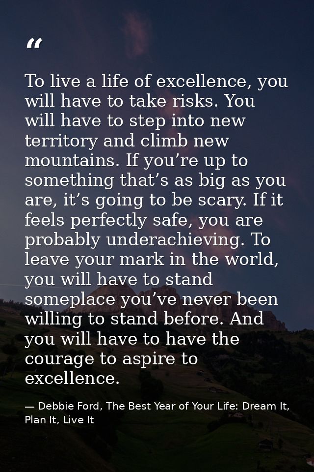 To live a life of excellence, you will have to take risks. You will have to step into new territory and climb new mounta — Debbie Ford, The Best Year of Your Life: Dream It, Plan It, Live It