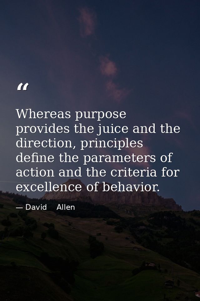 Whereas purpose provides the juice and the direction, principles define the parameters of action and the criteria for ex — David    Allen