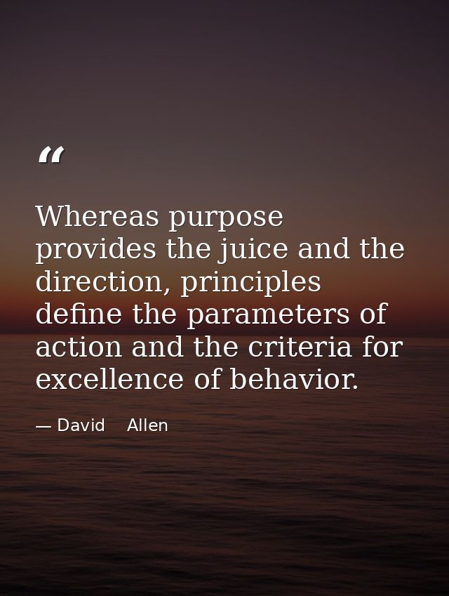 Whereas purpose provides the juice and the direction, principles define the parameters of action and the criteria for ex — David    Allen