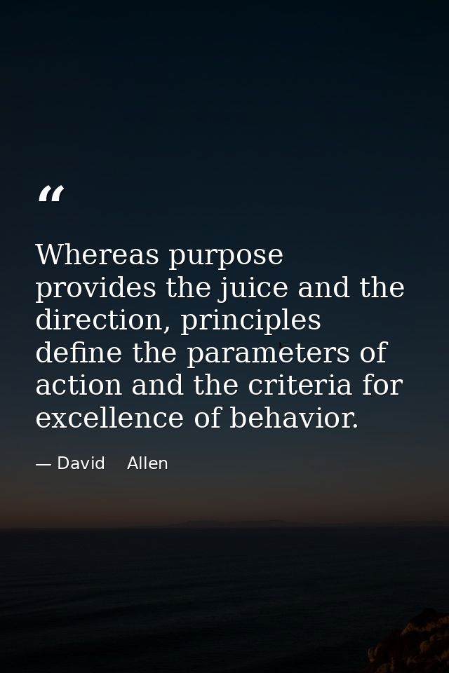 Whereas purpose provides the juice and the direction, principles define the parameters of action and the criteria for ex — David    Allen