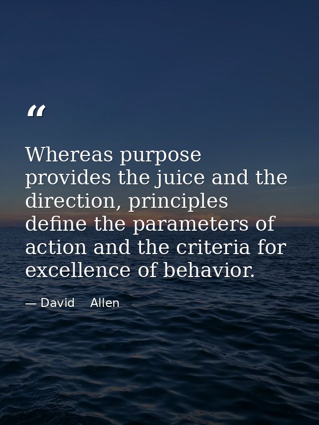 Whereas purpose provides the juice and the direction, principles define the parameters of action and the criteria for ex — David    Allen