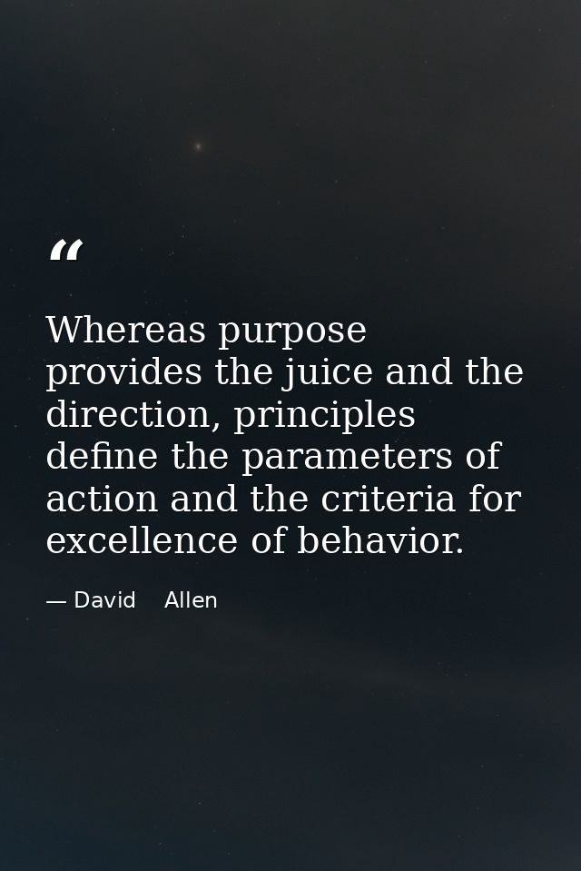 Whereas purpose provides the juice and the direction, principles define the parameters of action and the criteria for ex — David    Allen