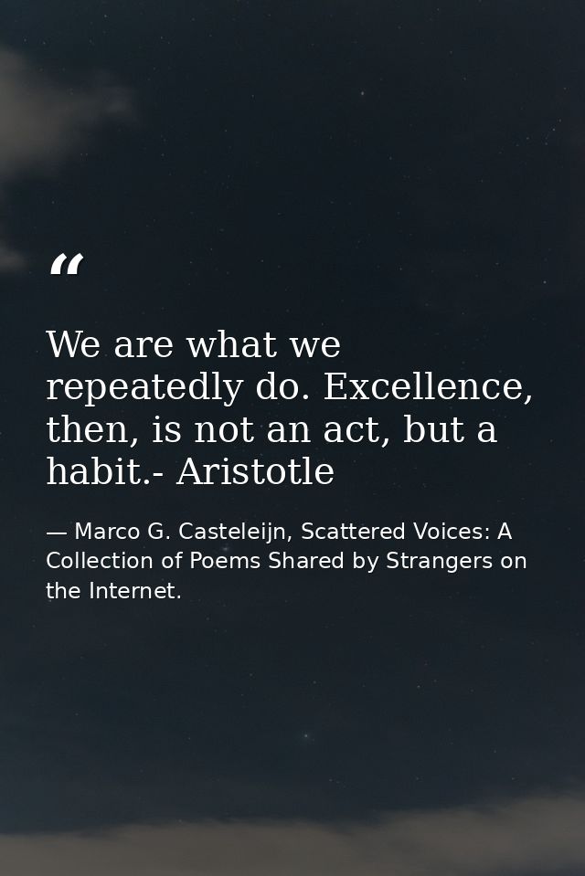 We are what we repeatedly do. Excellence, then, is not an act, but a habit.- Aristotle — Marco G. Casteleijn, Scattered Voices: A Collection of Poems Shared by Strangers on the Internet.