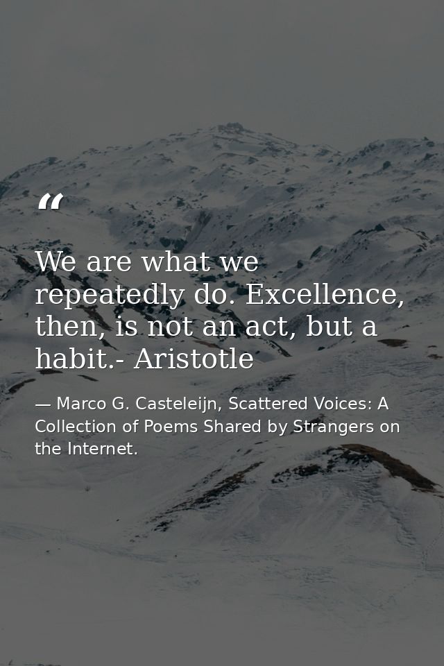 We are what we repeatedly do. Excellence, then, is not an act, but a habit.- Aristotle — Marco G. Casteleijn, Scattered Voices: A Collection of Poems Shared by Strangers on the Internet.