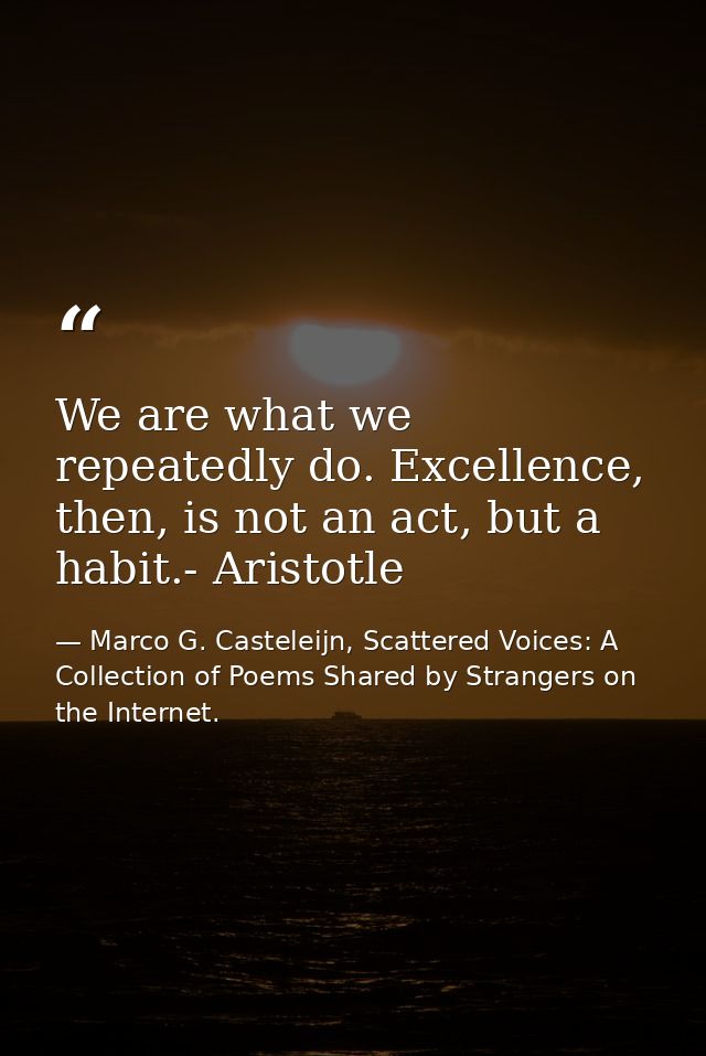 We are what we repeatedly do. Excellence, then, is not an act, but a habit.- Aristotle — Marco G. Casteleijn, Scattered Voices: A Collection of Poems Shared by Strangers on the Internet.