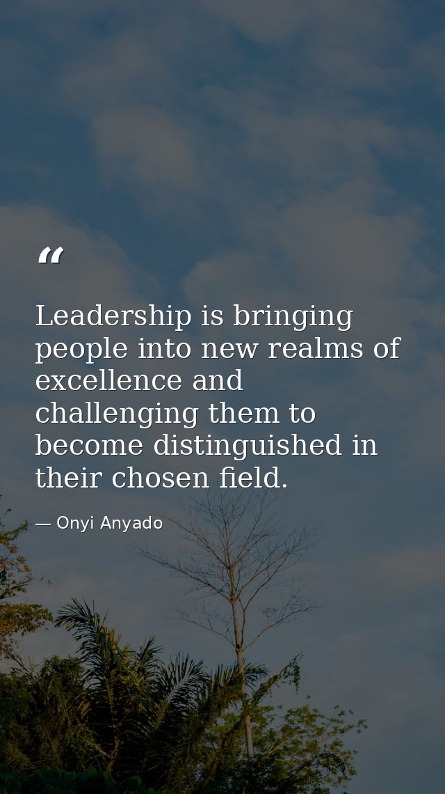 Leadership is bringing people into new realms of excellence and challenging them to become distinguished in their chosen — Onyi Anyado