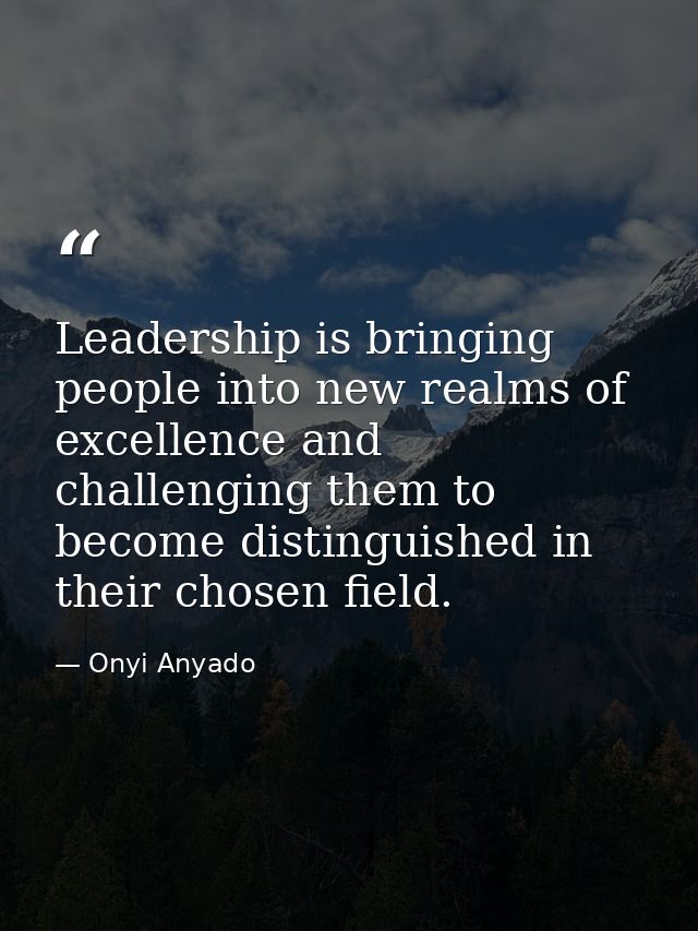 Leadership is bringing people into new realms of excellence and challenging them to become distinguished in their chosen — Onyi Anyado