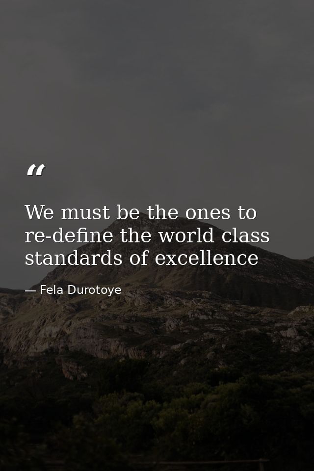We must be the ones to re-define the world class standards of excellence — Fela Durotoye