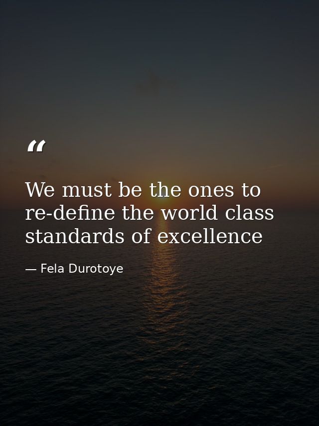 We must be the ones to re-define the world class standards of excellence — Fela Durotoye