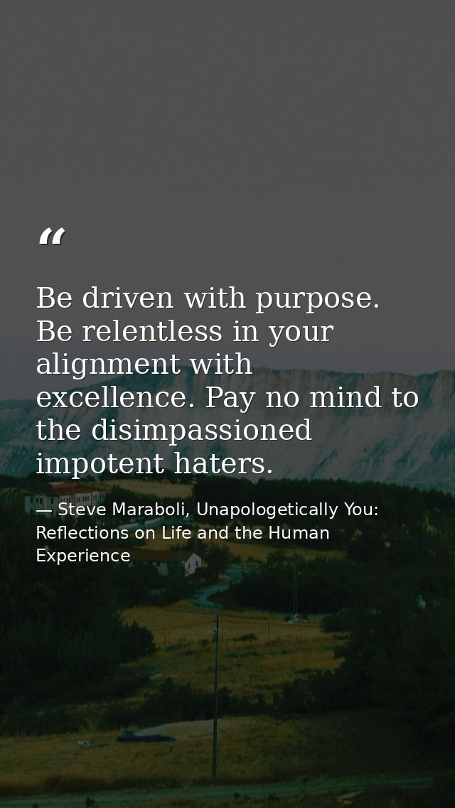 Be driven with purpose. Be relentless in your alignment with excellence. Pay no mind to the disimpassioned impotent hate — Steve Maraboli, Unapologetically You: Reflections on Life and the Human Experience