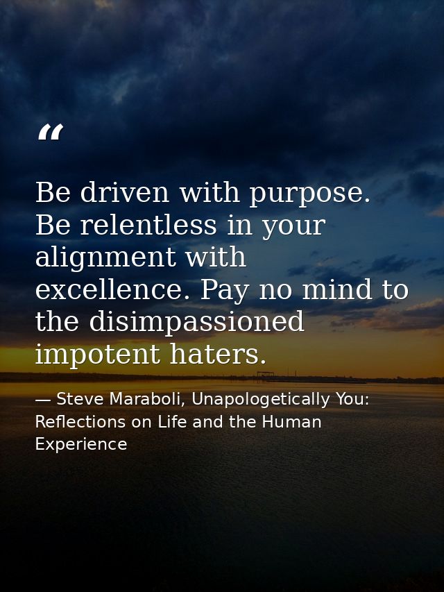 Be driven with purpose. Be relentless in your alignment with excellence. Pay no mind to the disimpassioned impotent hate — Steve Maraboli, Unapologetically You: Reflections on Life and the Human Experience