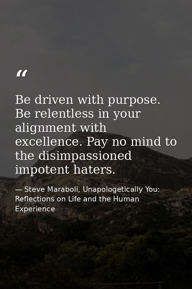 Be driven with purpose. Be relentless in your alignment with excellence. Pay no mind to the disimpassioned impotent hate — Steve Maraboli, Unapologetically You: Reflections on Life and the Human Experience