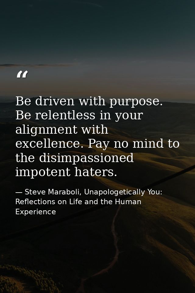 Be driven with purpose. Be relentless in your alignment with excellence. Pay no mind to the disimpassioned impotent hate — Steve Maraboli, Unapologetically You: Reflections on Life and the Human Experience