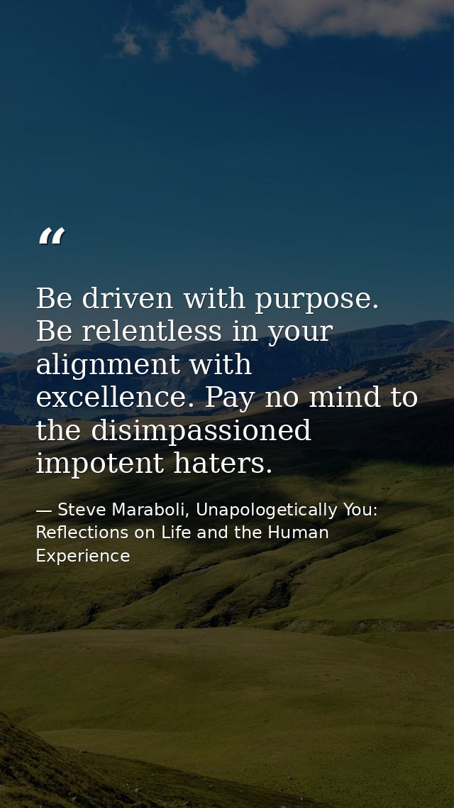 Be driven with purpose. Be relentless in your alignment with excellence. Pay no mind to the disimpassioned impotent hate — Steve Maraboli, Unapologetically You: Reflections on Life and the Human Experience
