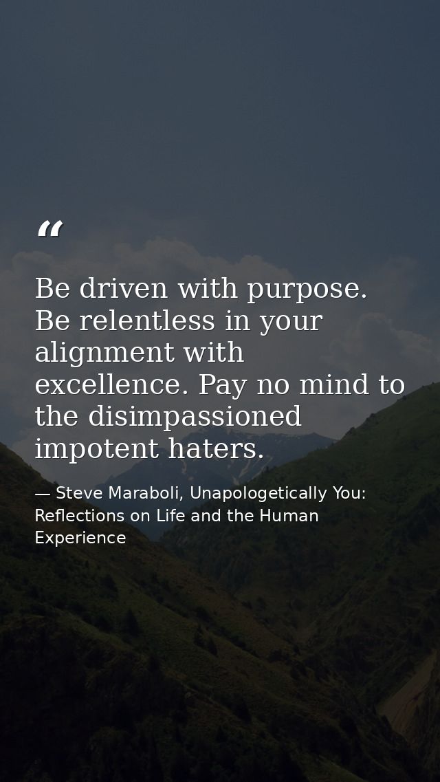 Be driven with purpose. Be relentless in your alignment with excellence. Pay no mind to the disimpassioned impotent hate — Steve Maraboli, Unapologetically You: Reflections on Life and the Human Experience