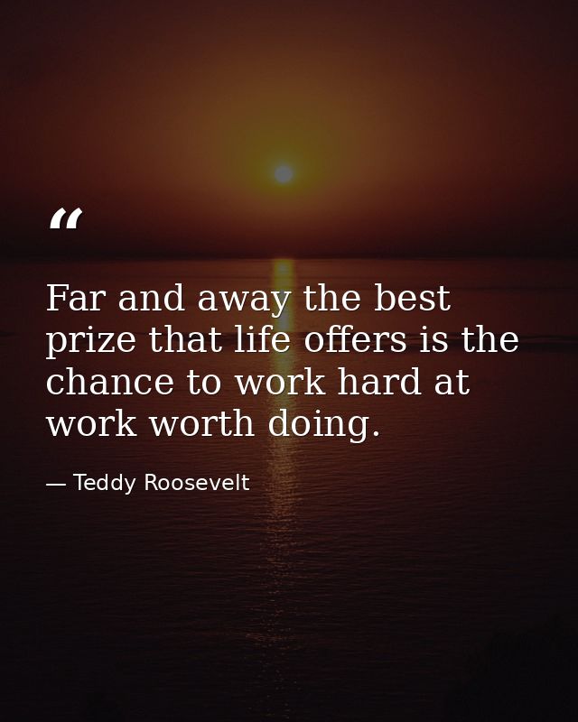 Far and away the best prize that life offers is the chance to work hard at work worth doing. — Teddy Roosevelt