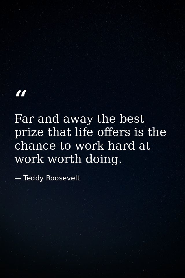 Far and away the best prize that life offers is the chance to work hard at work worth doing. — Teddy Roosevelt