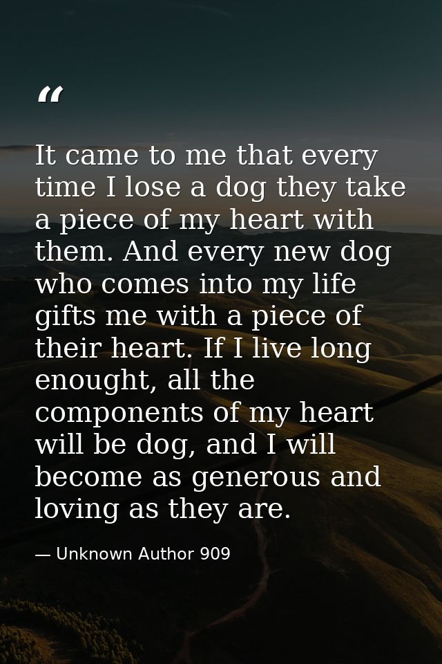It came to me that every time I lose a dog they take a piece of my heart with them. And every new dog who comes into my  — Unknown Author 909