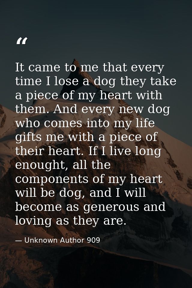 It came to me that every time I lose a dog they take a piece of my heart with them. And every new dog who comes into my  — Unknown Author 909