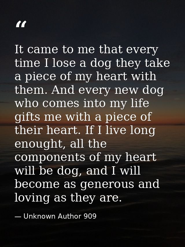 It came to me that every time I lose a dog they take a piece of my heart with them. And every new dog who comes into my  — Unknown Author 909
