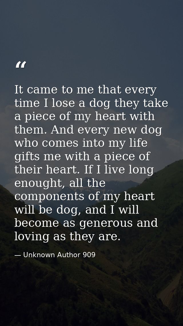 It came to me that every time I lose a dog they take a piece of my heart with them. And every new dog who comes into my  — Unknown Author 909