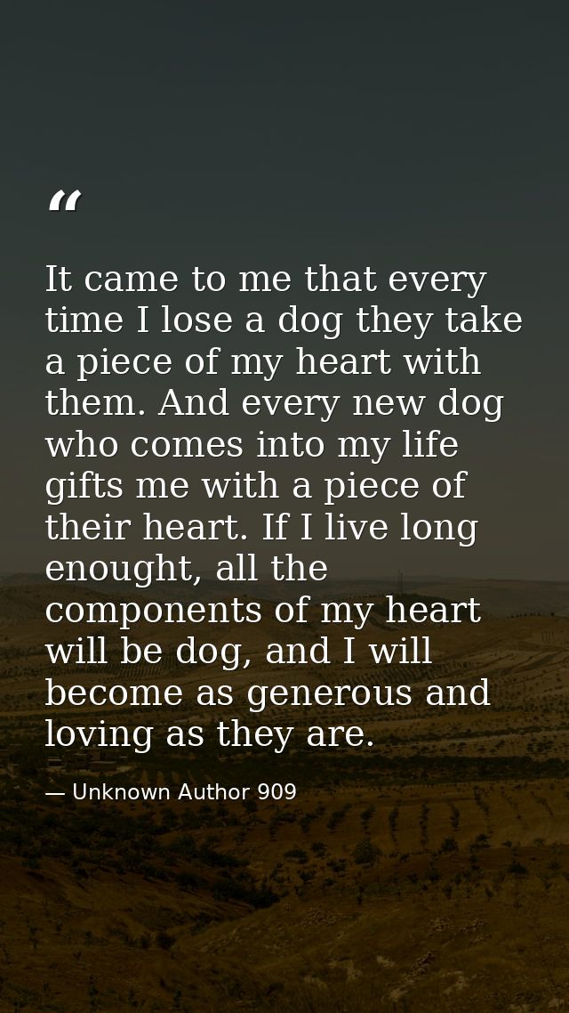 It came to me that every time I lose a dog they take a piece of my heart with them. And every new dog who comes into my  — Unknown Author 909