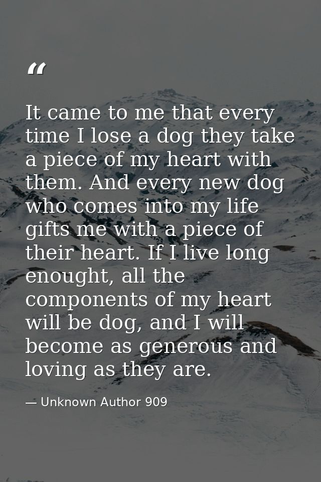 It came to me that every time I lose a dog they take a piece of my heart with them. And every new dog who comes into my  — Unknown Author 909