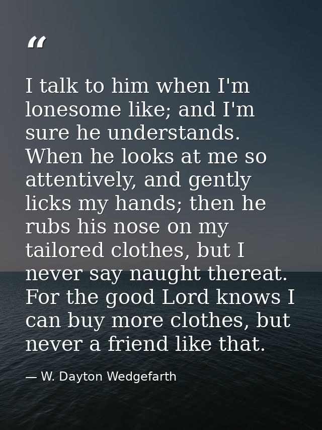 I talk to him when I'm lonesome like; and I'm sure he understands. When he looks at me so attentively, and gently licks  — W. Dayton Wedgefarth