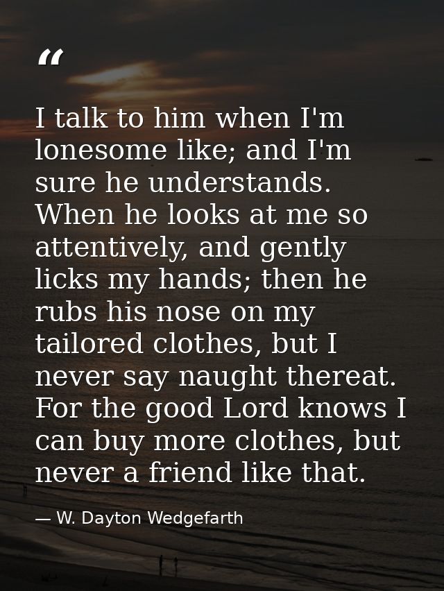 I talk to him when I'm lonesome like; and I'm sure he understands. When he looks at me so attentively, and gently licks  — W. Dayton Wedgefarth