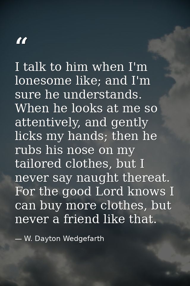 I talk to him when I'm lonesome like; and I'm sure he understands. When he looks at me so attentively, and gently licks  — W. Dayton Wedgefarth