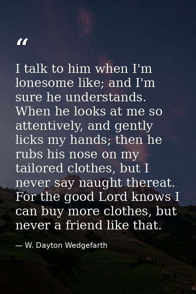 I talk to him when I'm lonesome like; and I'm sure he understands. When he looks at me so attentively, and gently licks  — W. Dayton Wedgefarth