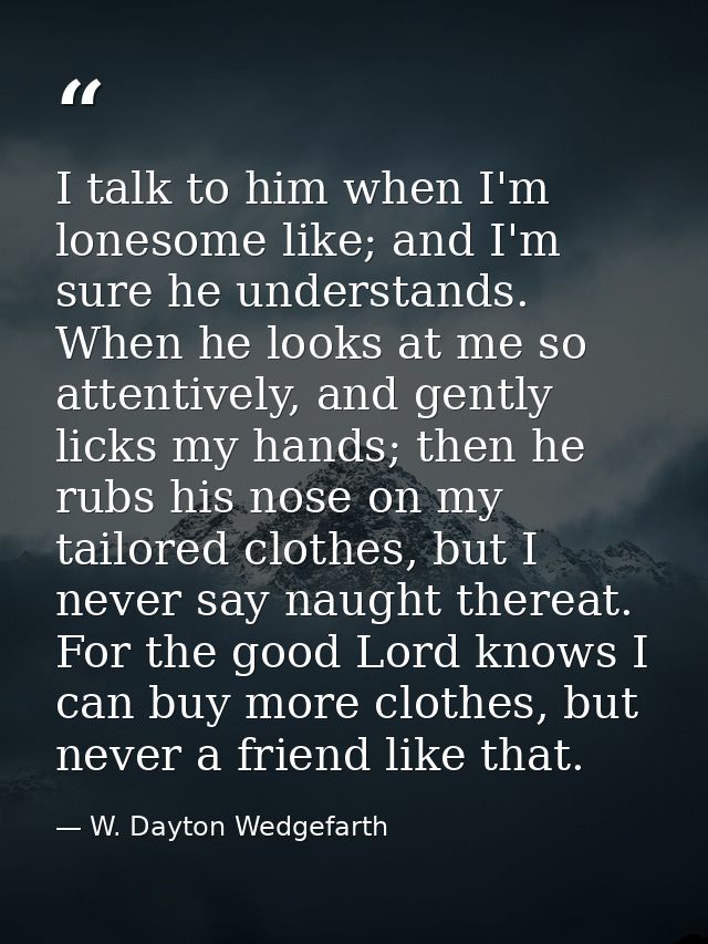 I talk to him when I'm lonesome like; and I'm sure he understands. When he looks at me so attentively, and gently licks  — W. Dayton Wedgefarth