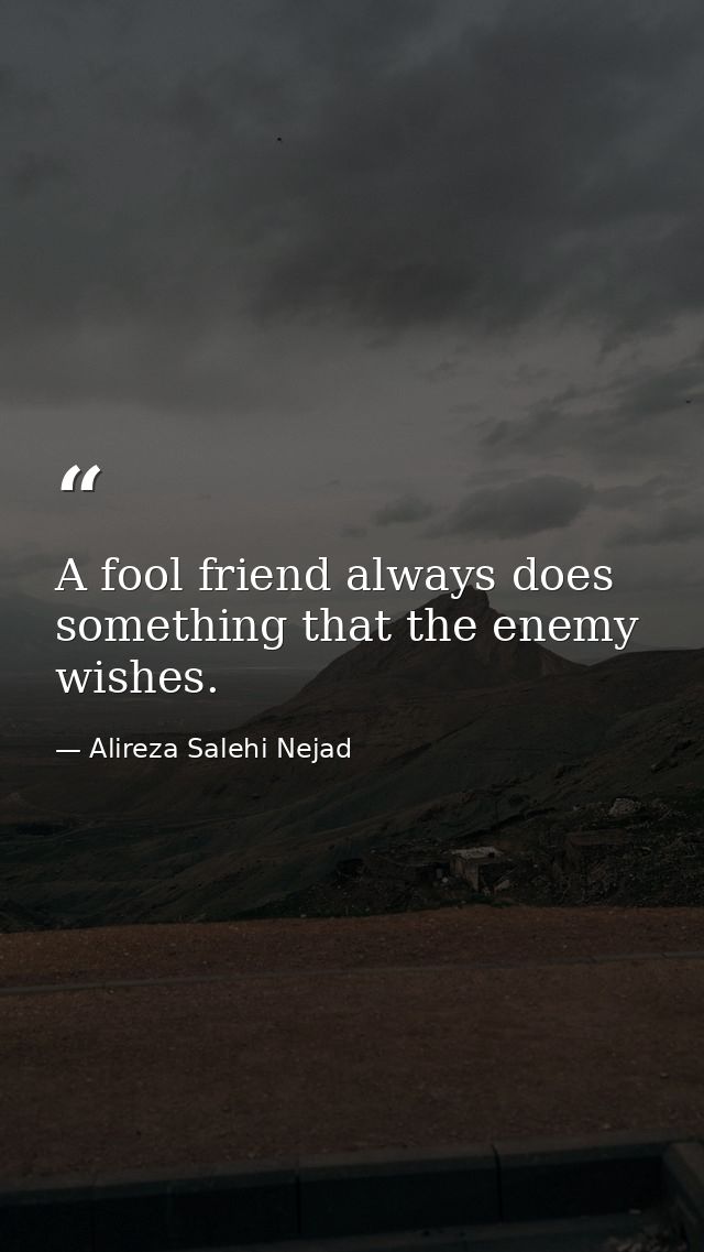 A fool friend always does something that the enemy wishes. — Alireza Salehi Nejad