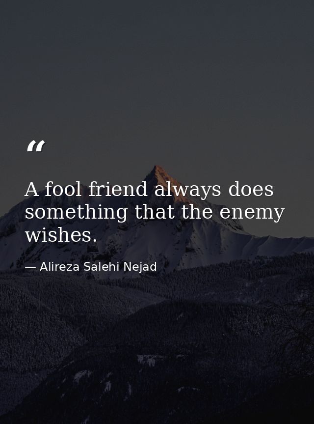 A fool friend always does something that the enemy wishes. — Alireza Salehi Nejad