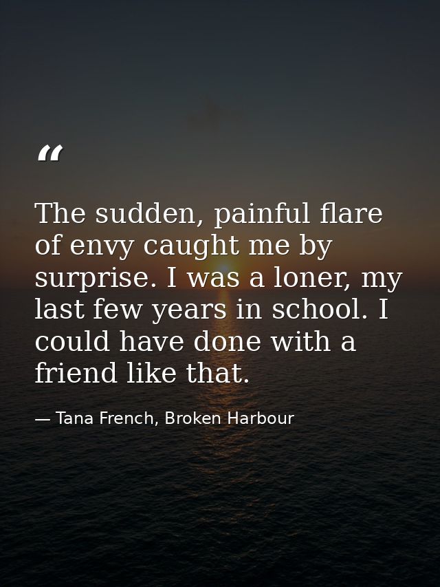 The sudden, painful flare of envy caught me by surprise. I was a loner, my last few years in school. I could have done w — Tana French, Broken Harbour