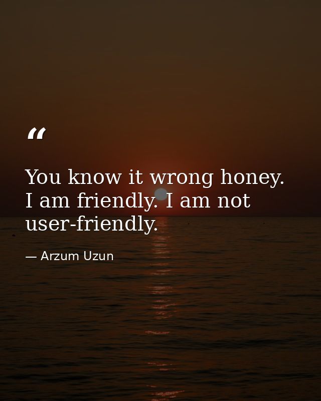 You know it wrong honey. I am friendly. I am not user-friendly. — Arzum Uzun