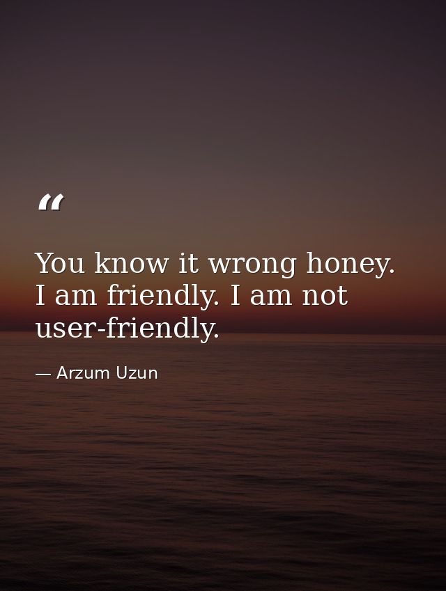 You know it wrong honey. I am friendly. I am not user-friendly. — Arzum Uzun