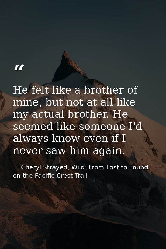 He felt like a brother of mine, but not at all like my actual brother. He seemed like someone I'd always know even if I  — Cheryl Strayed, Wild: From Lost to Found on the Pacific Crest Trail