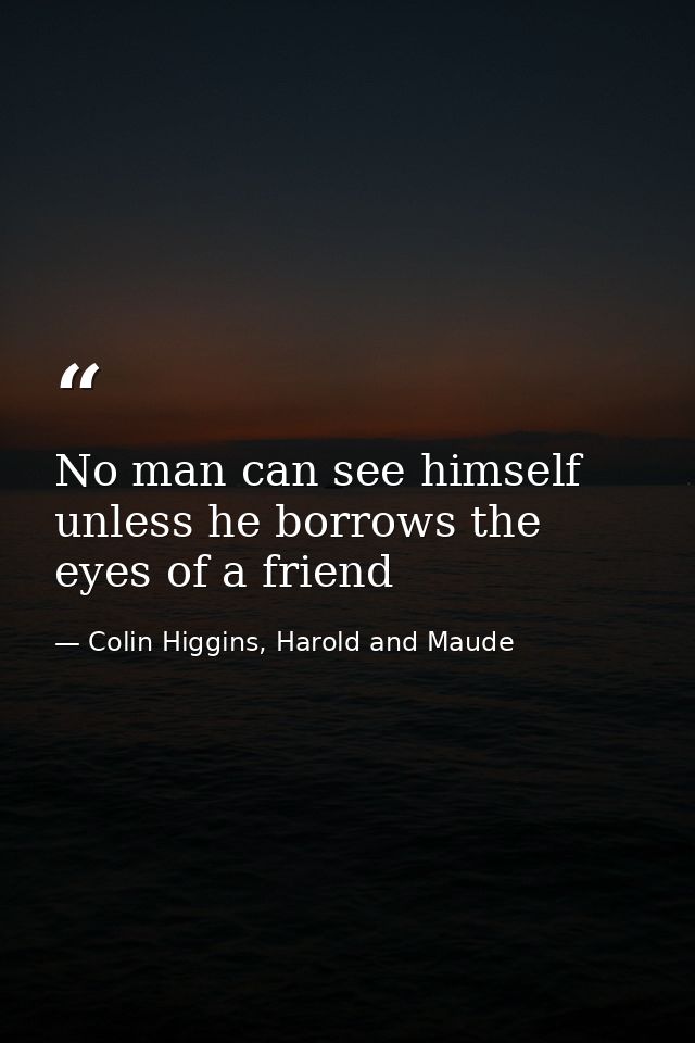No man can see himself unless he borrows the eyes of a friend — Colin Higgins, Harold and Maude