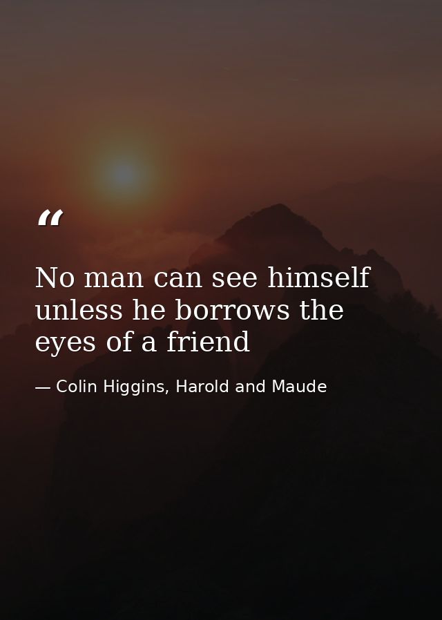 No man can see himself unless he borrows the eyes of a friend — Colin Higgins, Harold and Maude