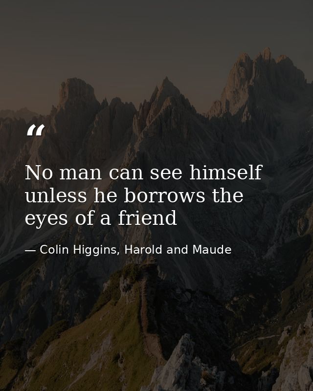 No man can see himself unless he borrows the eyes of a friend — Colin Higgins, Harold and Maude