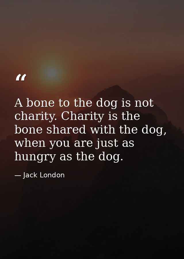 A bone to the dog is not charity. Charity is the bone shared with the dog, when you are just as hungry as the dog. — Jack London