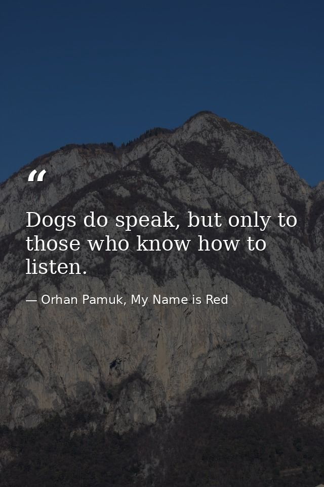 Dogs do speak, but only to those who know how to listen. — Orhan Pamuk, My Name is Red