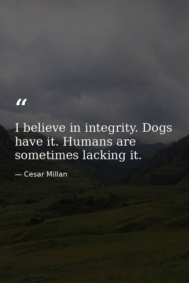 I believe in integrity. Dogs have it. Humans are sometimes lacking it. — Cesar Millan