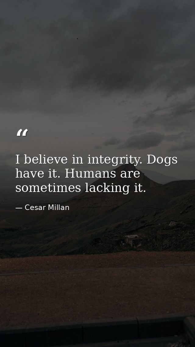 I believe in integrity. Dogs have it. Humans are sometimes lacking it. — Cesar Millan