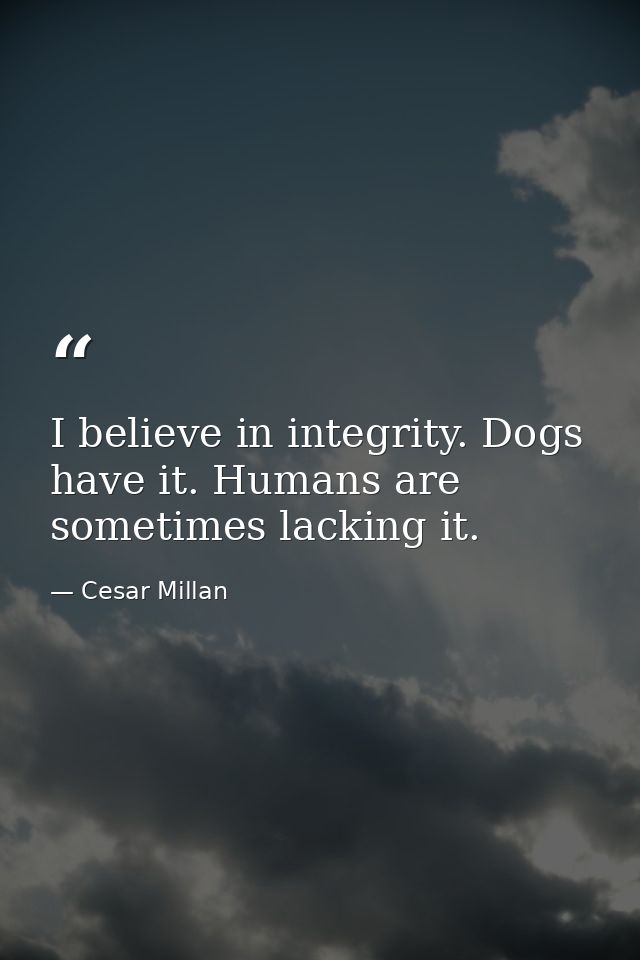 I believe in integrity. Dogs have it. Humans are sometimes lacking it. — Cesar Millan