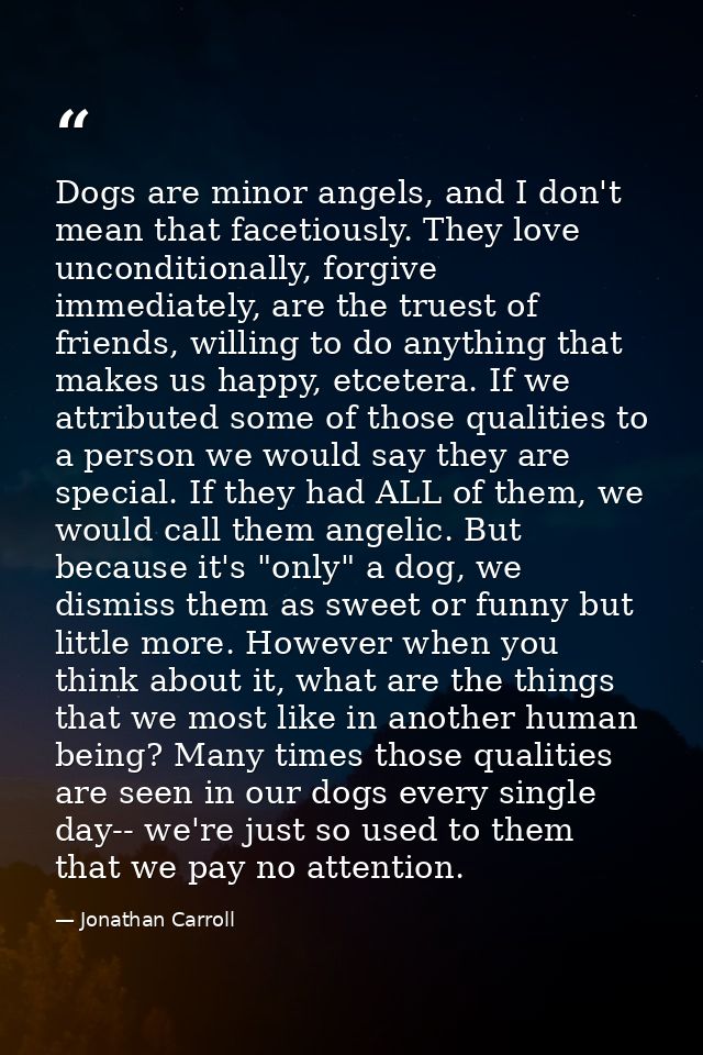 Dogs are minor angels, and I don't mean that facetiously. They love unconditionally, forgive immediately, are the truest — Jonathan Carroll