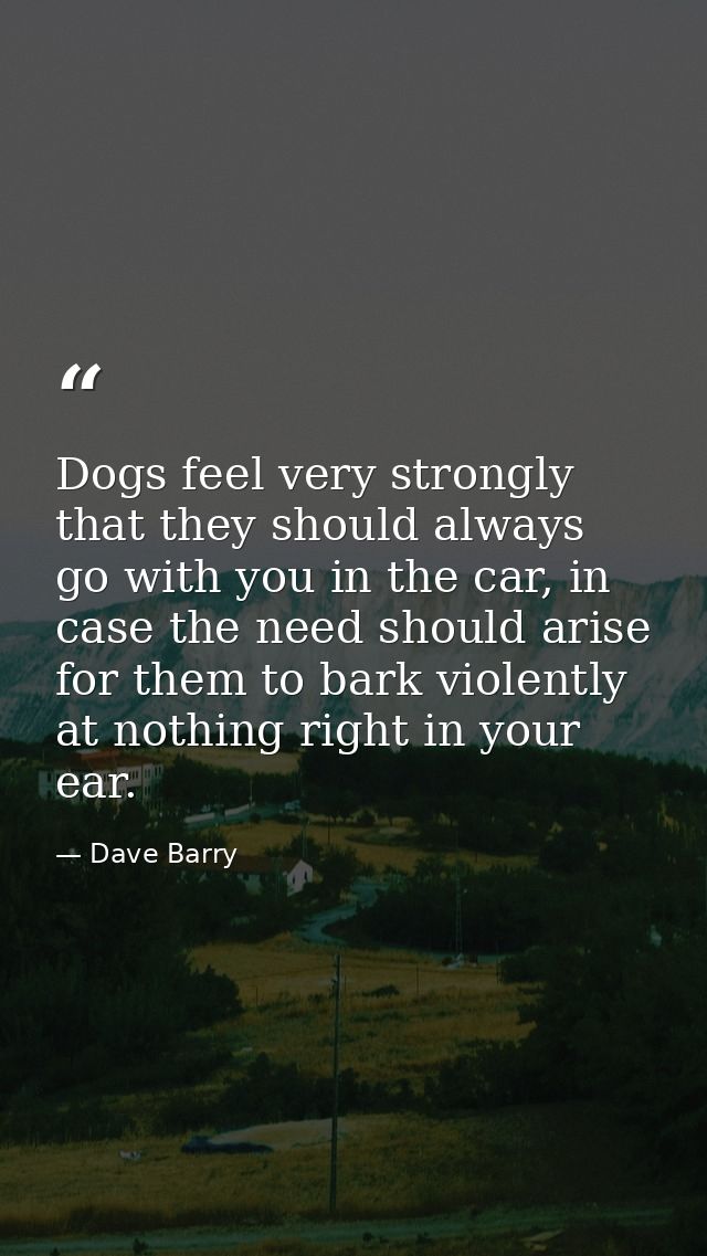 Dogs feel very strongly that they should always go with you in the car, in case the need should arise for them to bark v — Dave Barry
