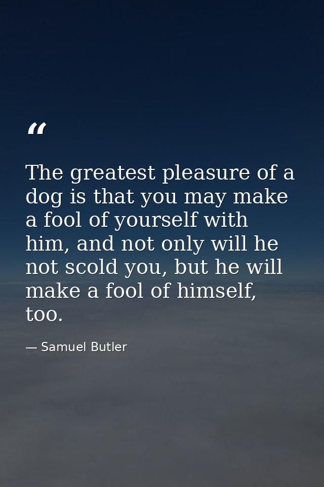 The greatest pleasure of a dog is that you may make a fool of yourself with him, and not only will he not scold you, but — Samuel Butler